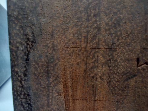 Busts of Two Laos Women from the 1950's